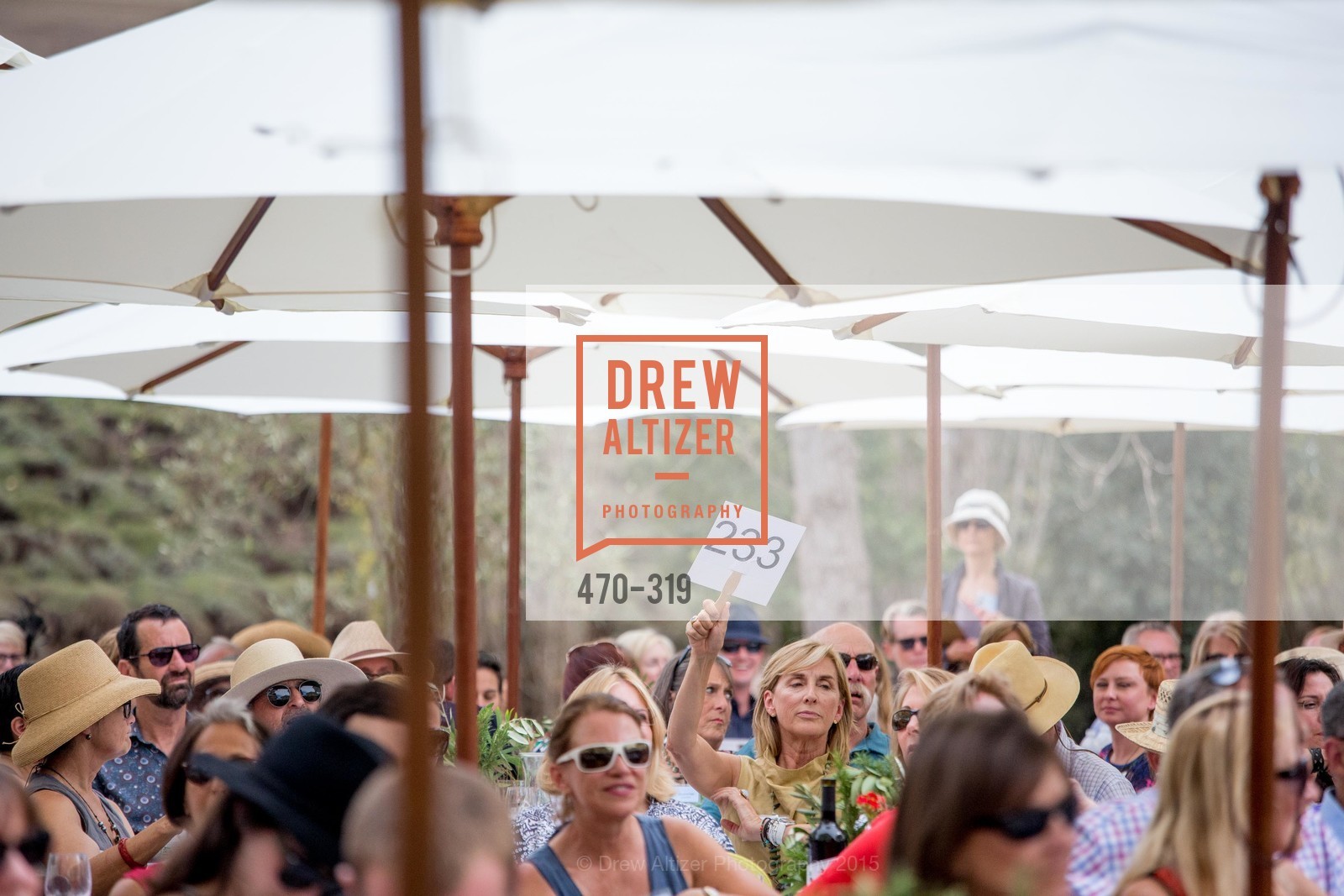 Atmosphere, Fall for Art: ODC at McEvoy Ranch, McEvoy Ranch. 5935 Red Hill Road, September 27th, 2015,Drew Altizer, Drew Altizer Photography, full-service agency, private events, San Francisco photographer, photographer california