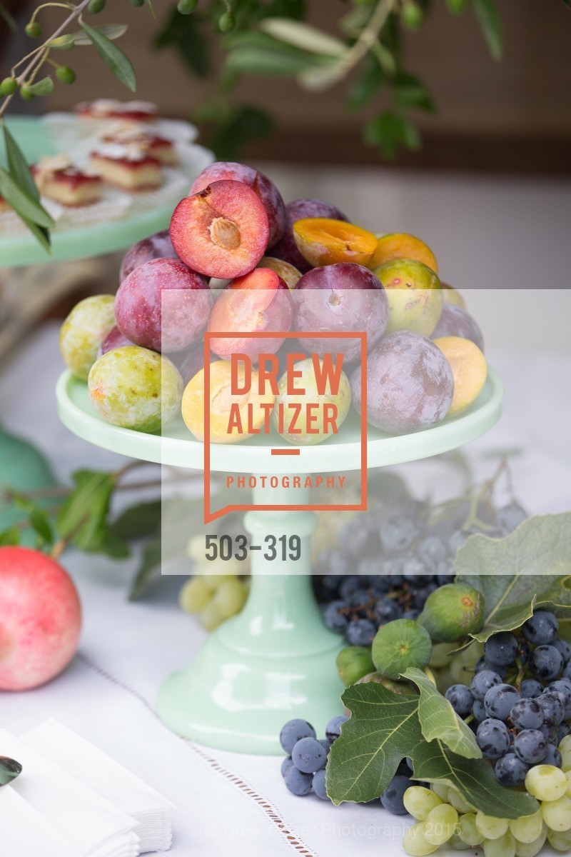 Atmosphere, Fall for Art: ODC at McEvoy Ranch, McEvoy Ranch. 5935 Red Hill Road, September 27th, 2015,Drew Altizer, Drew Altizer Photography, full-service agency, private events, San Francisco photographer, photographer california