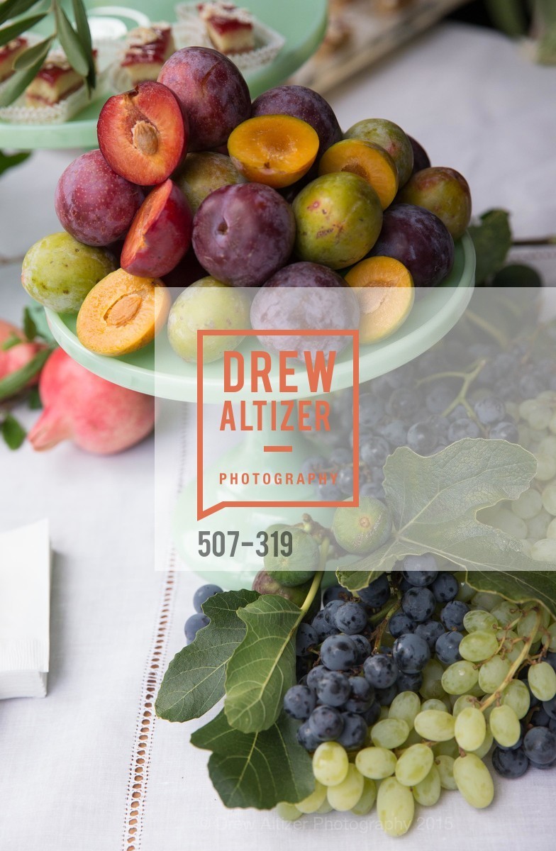 Atmosphere, Fall for Art: ODC at McEvoy Ranch, McEvoy Ranch. 5935 Red Hill Road, September 27th, 2015,Drew Altizer, Drew Altizer Photography, full-service agency, private events, San Francisco photographer, photographer california