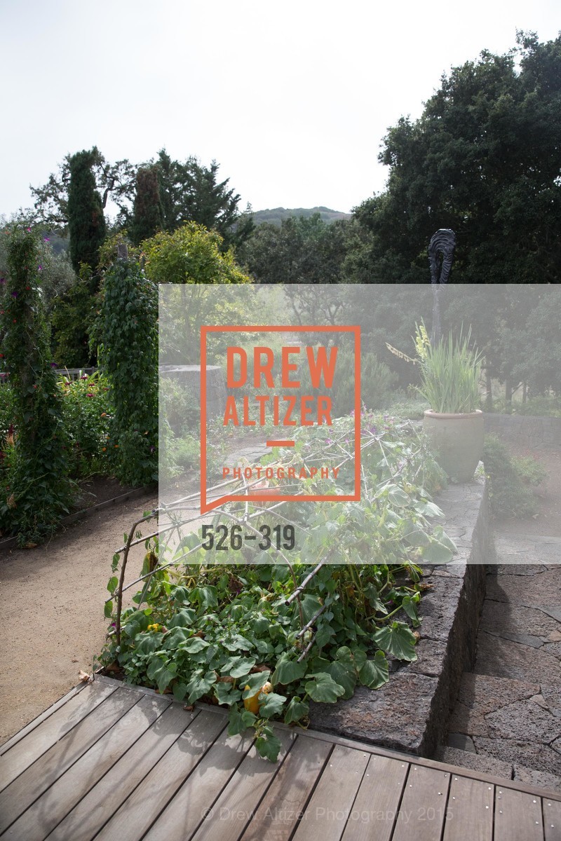 Atmosphere, Fall for Art: ODC at McEvoy Ranch, McEvoy Ranch. 5935 Red Hill Road, September 27th, 2015