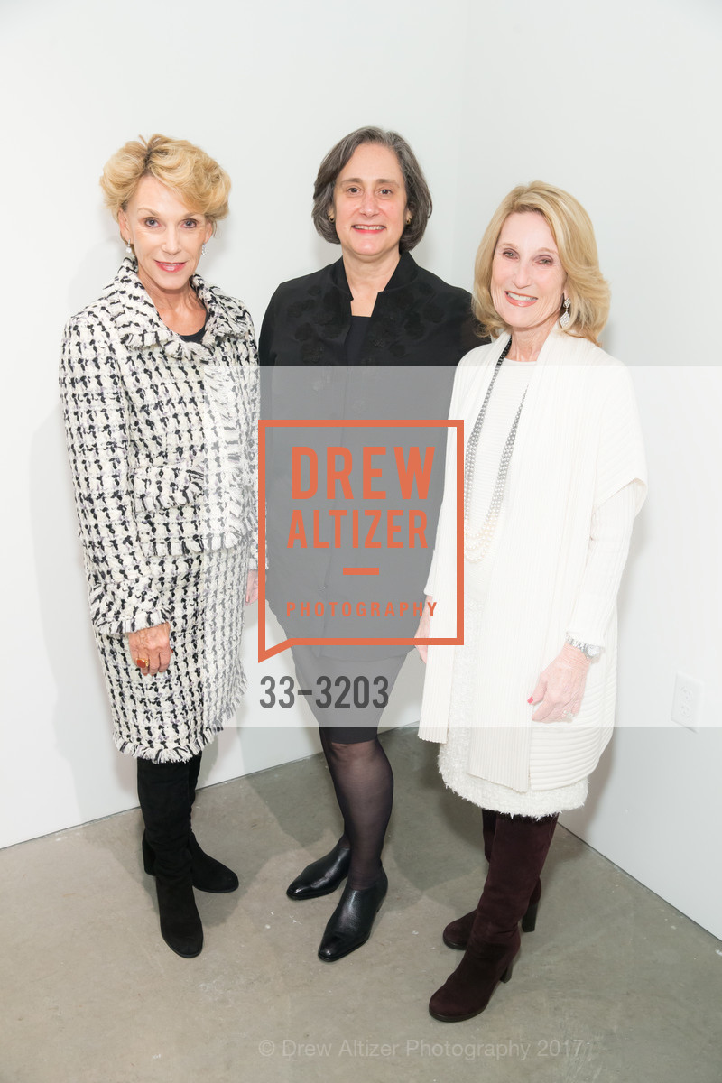 Carol Parker, Susan Fisher Sterling, Lorna Meyer Calas, Stardust to Steel: The San Francisco Advocacy for National Museum of Women in the Arts Inaugural Exhibition, California College of the Arts Hubbell Street Gallery. 161 Hubbell Street, SF 94107, November 30th, 2017, Photo #33-3203 Carol Parker, Susan Fisher Sterling, Lorna Meyer Calas, Photo #33-3203