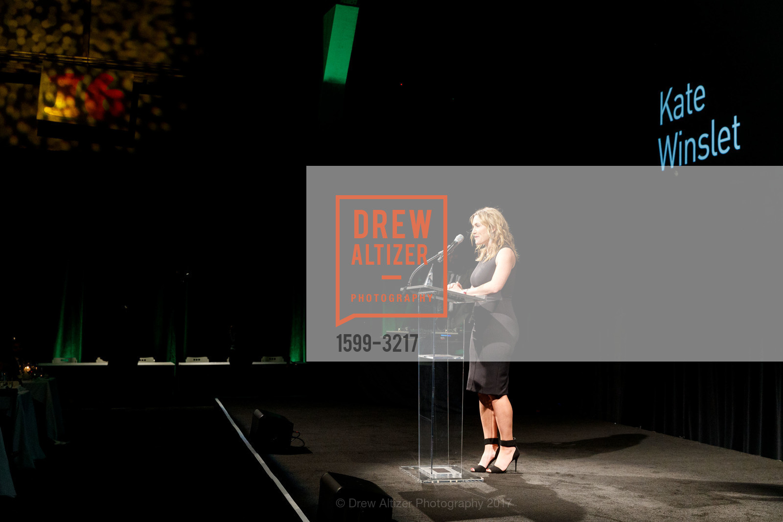Kate Winslet, SFFILM Awards Night 2017, Palace of Fine Arts. 3301 Lyon Street, December 5th, 2017, Photo #1599-3217 Kate Winslet, Photo #1599-3217