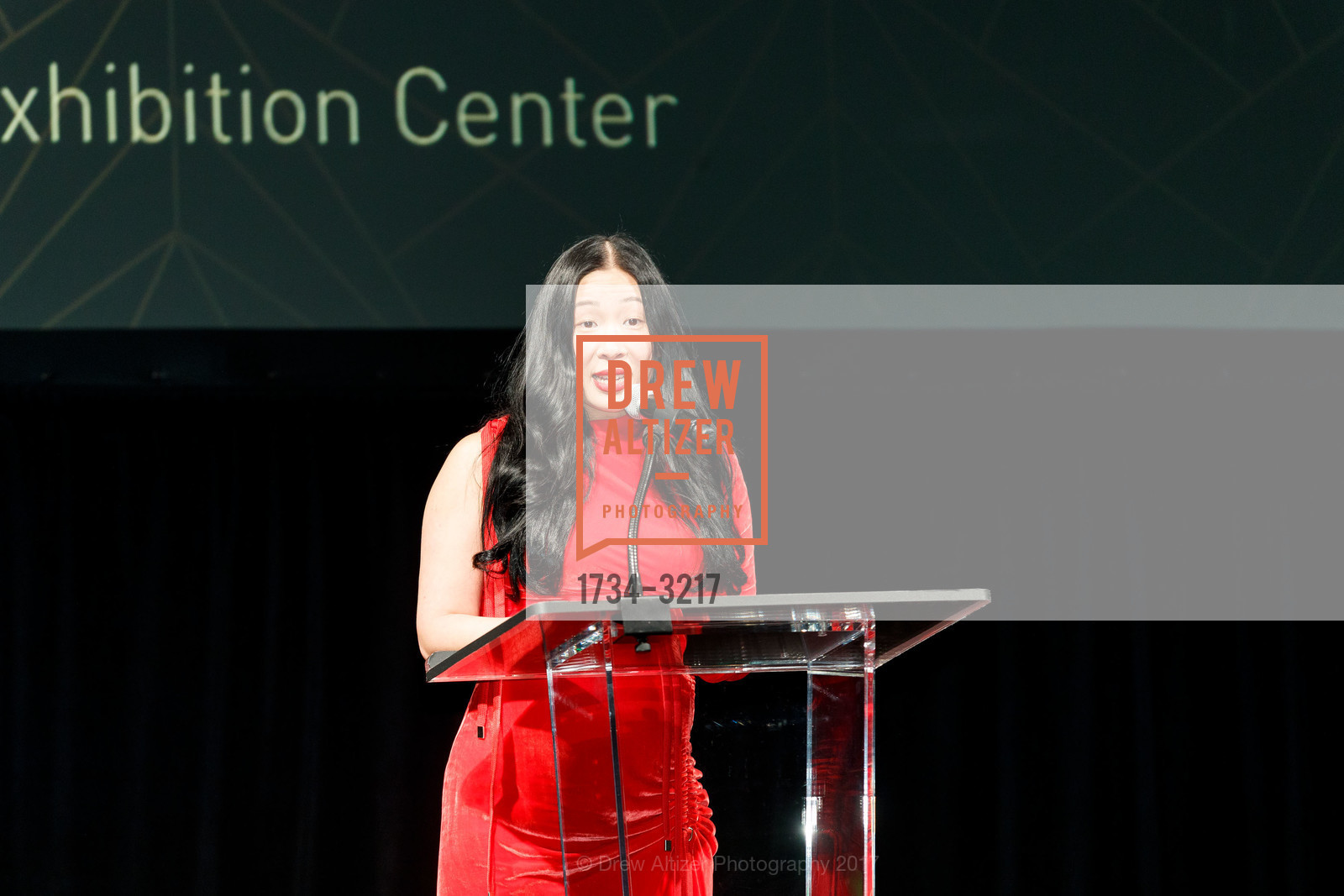 Sonya Yu, SFFILM Awards Night 2017, Palace of Fine Arts. 3301 Lyon Street, December 5th, 2017, Photo #1734-3217 Sonya Yu, Photo #1734-3217