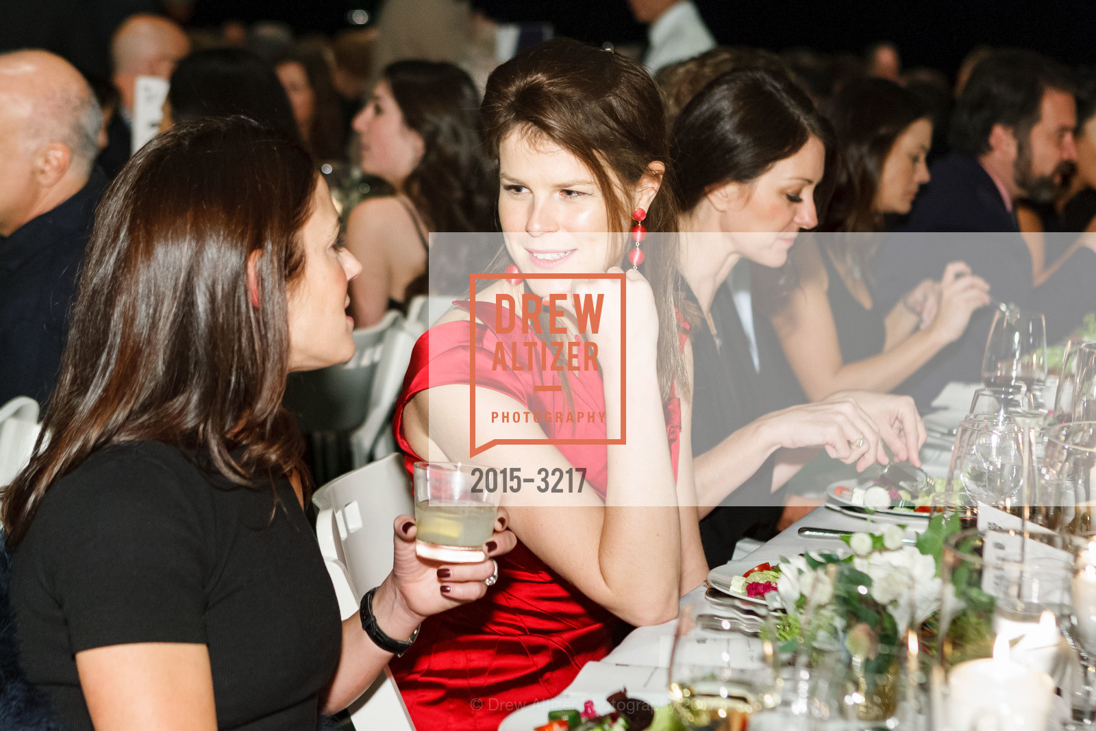 SFFILM Awards Night 2017, Palace of Fine Arts. 3301 Lyon Street, December 5th, 2017, Photo #2015-3217 Photo #2015-3217