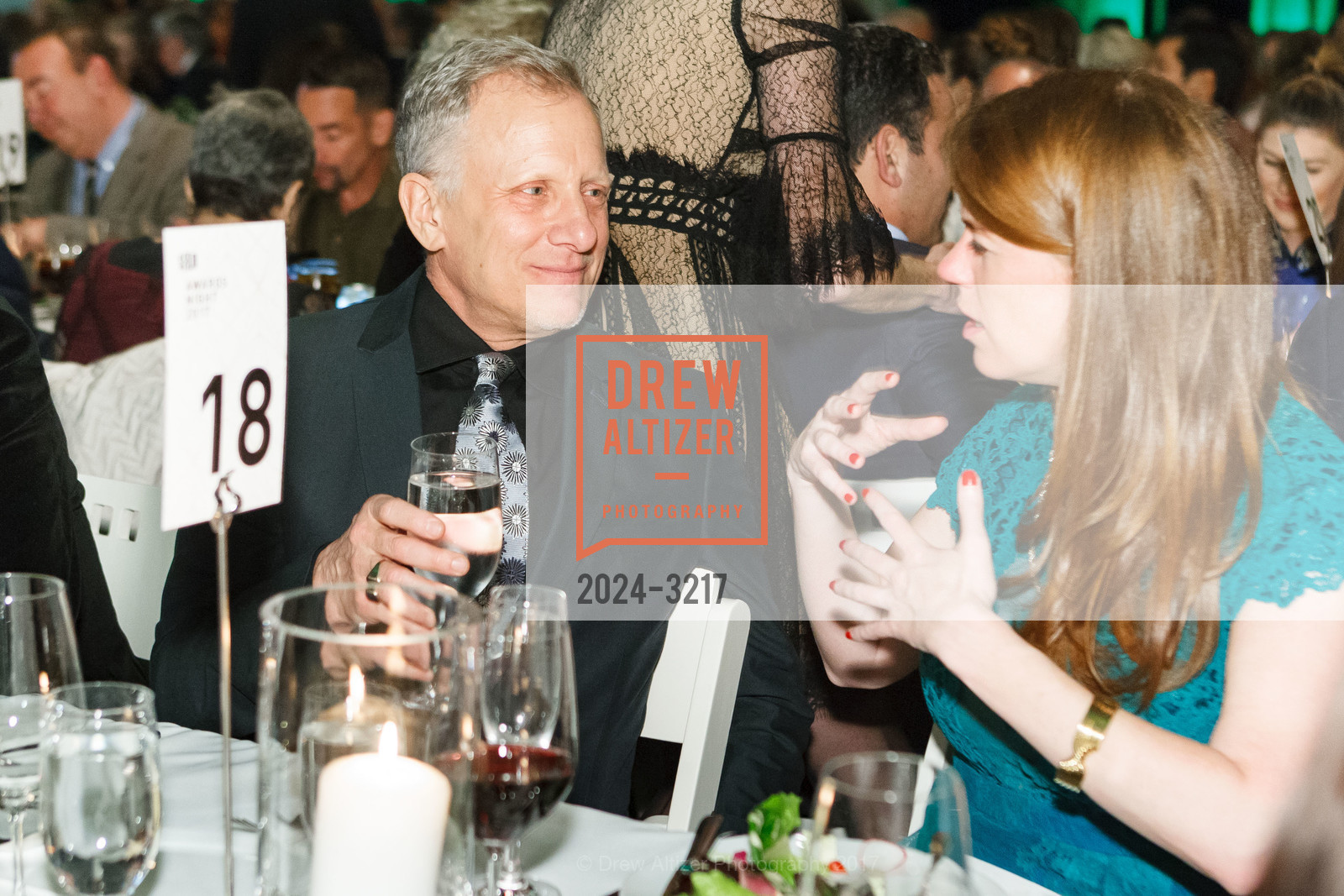 SFFILM Awards Night 2017, Palace of Fine Arts. 3301 Lyon Street, December 5th, 2017, Photo #2024-3217 Photo #2024-3217
