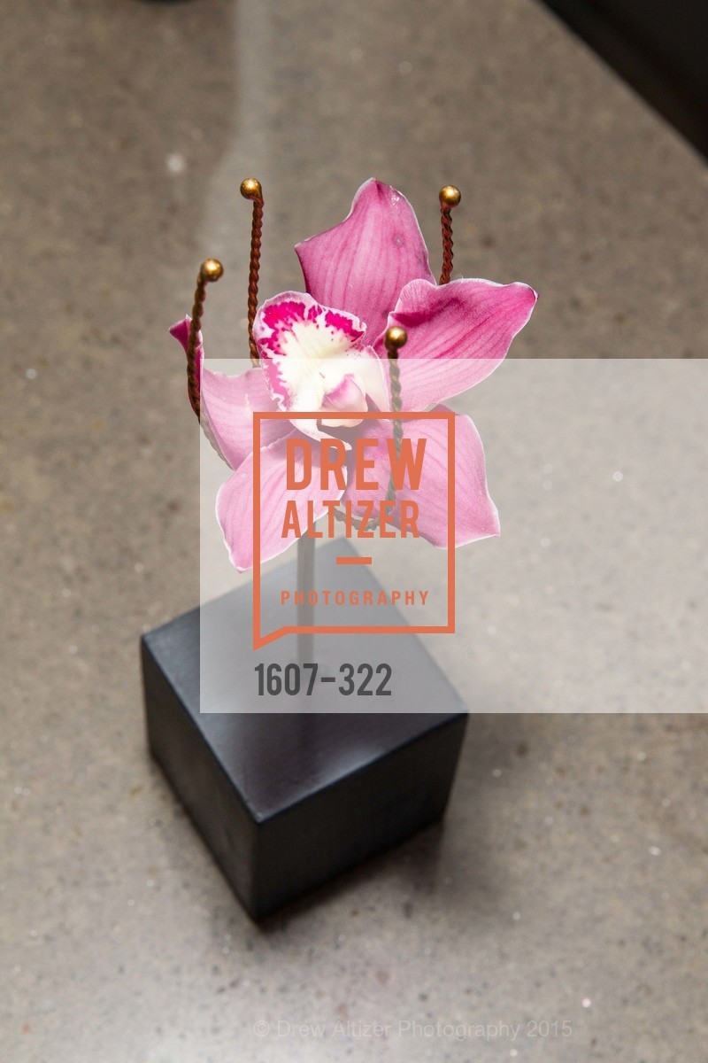 Atmosphere, Gala at The Greek Benefiting Cal Performances, UC Berkeley's Greek Theatre. 2001 Gayley Rd, September 25th, 2015,Drew Altizer, Drew Altizer Photography, full-service agency, private events, San Francisco photographer, photographer california