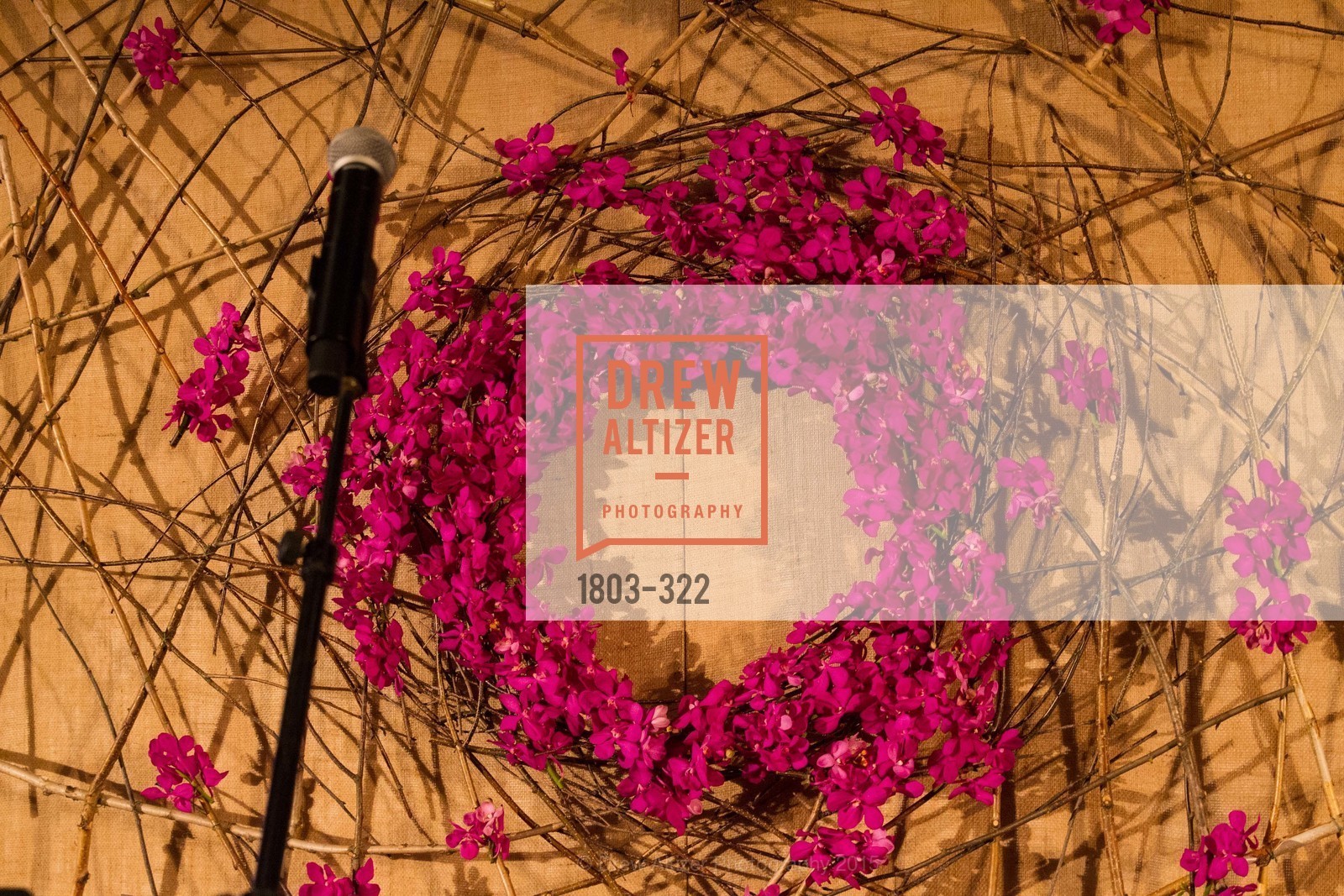 Atmosphere, Gala at The Greek Benefiting Cal Performances, UC Berkeley's Greek Theatre. 2001 Gayley Rd, September 25th, 2015,Drew Altizer, Drew Altizer Photography, full-service agency, private events, San Francisco photographer, photographer california