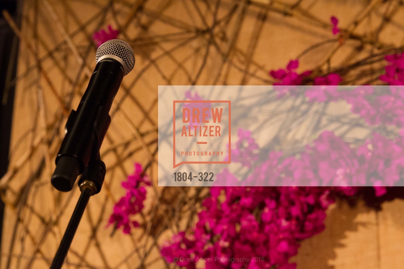 Atmosphere, Gala at The Greek Benefiting Cal Performances, UC Berkeley's Greek Theatre. 2001 Gayley Rd, September 25th, 2015,Drew Altizer, Drew Altizer Photography, full-service agency, private events, San Francisco photographer, photographer california