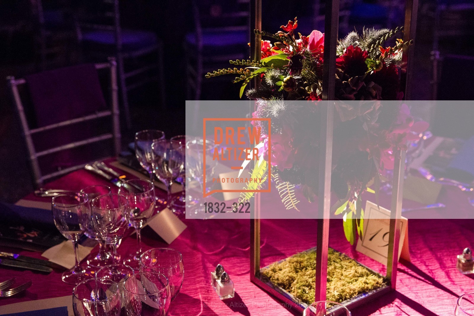 Atmosphere, Gala at The Greek Benefiting Cal Performances, UC Berkeley's Greek Theatre. 2001 Gayley Rd, September 25th, 2015,Drew Altizer, Drew Altizer Photography, full-service agency, private events, San Francisco photographer, photographer california