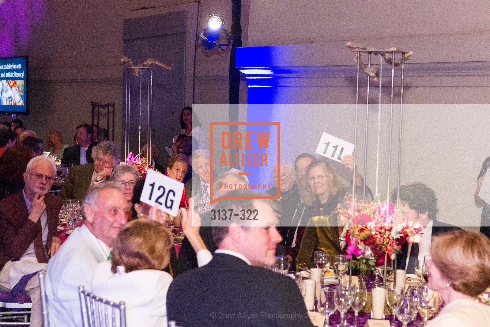 Atmosphere, Gala at The Greek Benefiting Cal Performances, UC Berkeley's Greek Theatre. 2001 Gayley Rd, September 25th, 2015,Drew Altizer, Drew Altizer Photography, full-service agency, private events, San Francisco photographer, photographer california