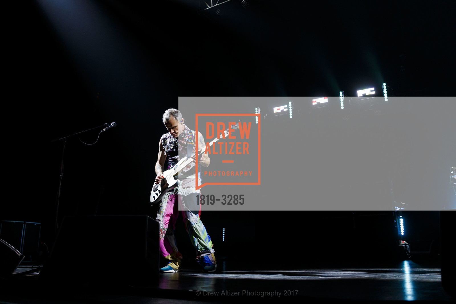The Red Hot Chili Peppers, Photo #1819-3285