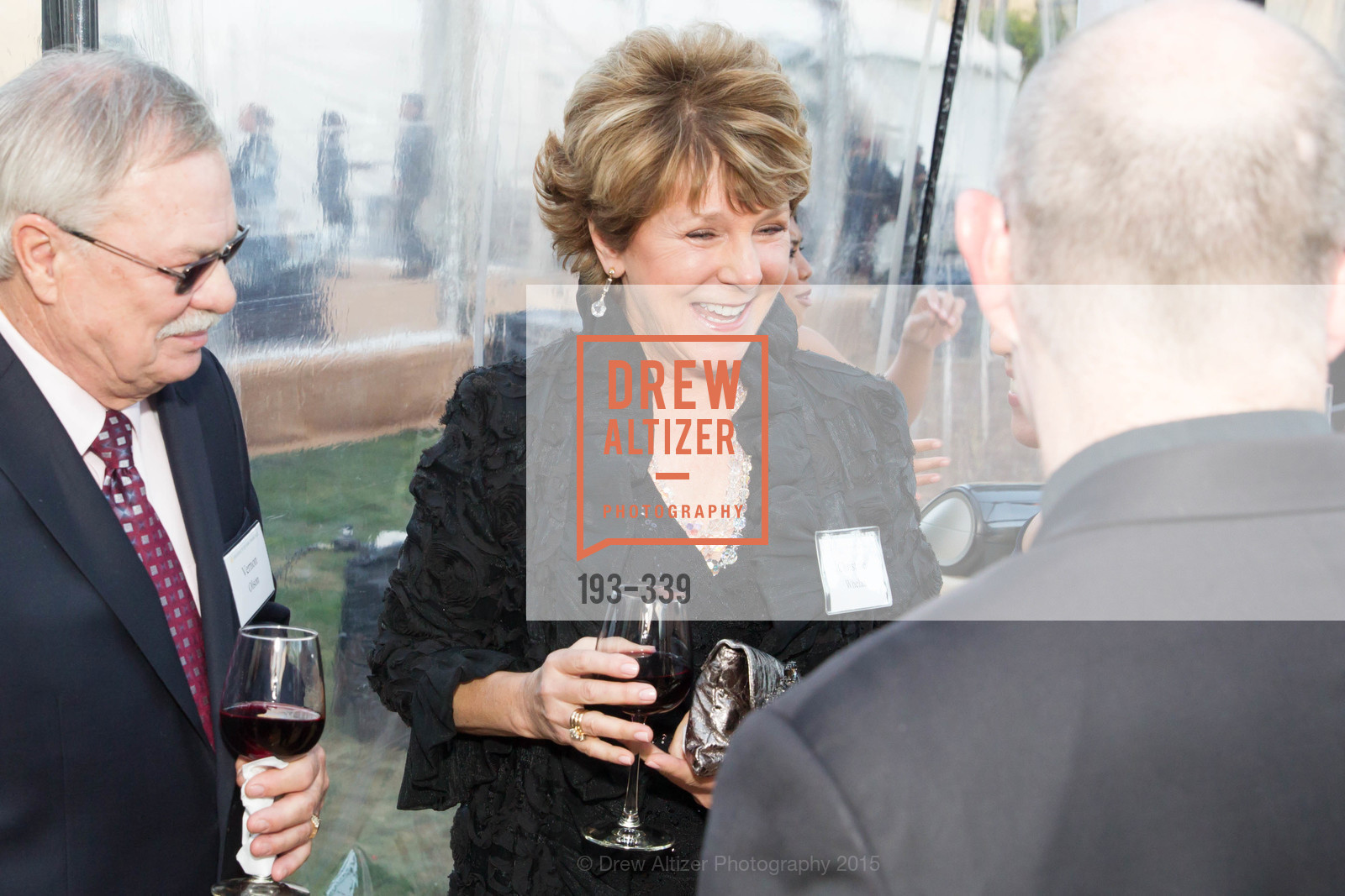 Christine Whelan, University of San Francisco Alumni Awards Gala 2015, University of San Francisco. University of San Francisco, October 2nd, 2015, Photo #193-339 Christine Whelan, Photo #193-339