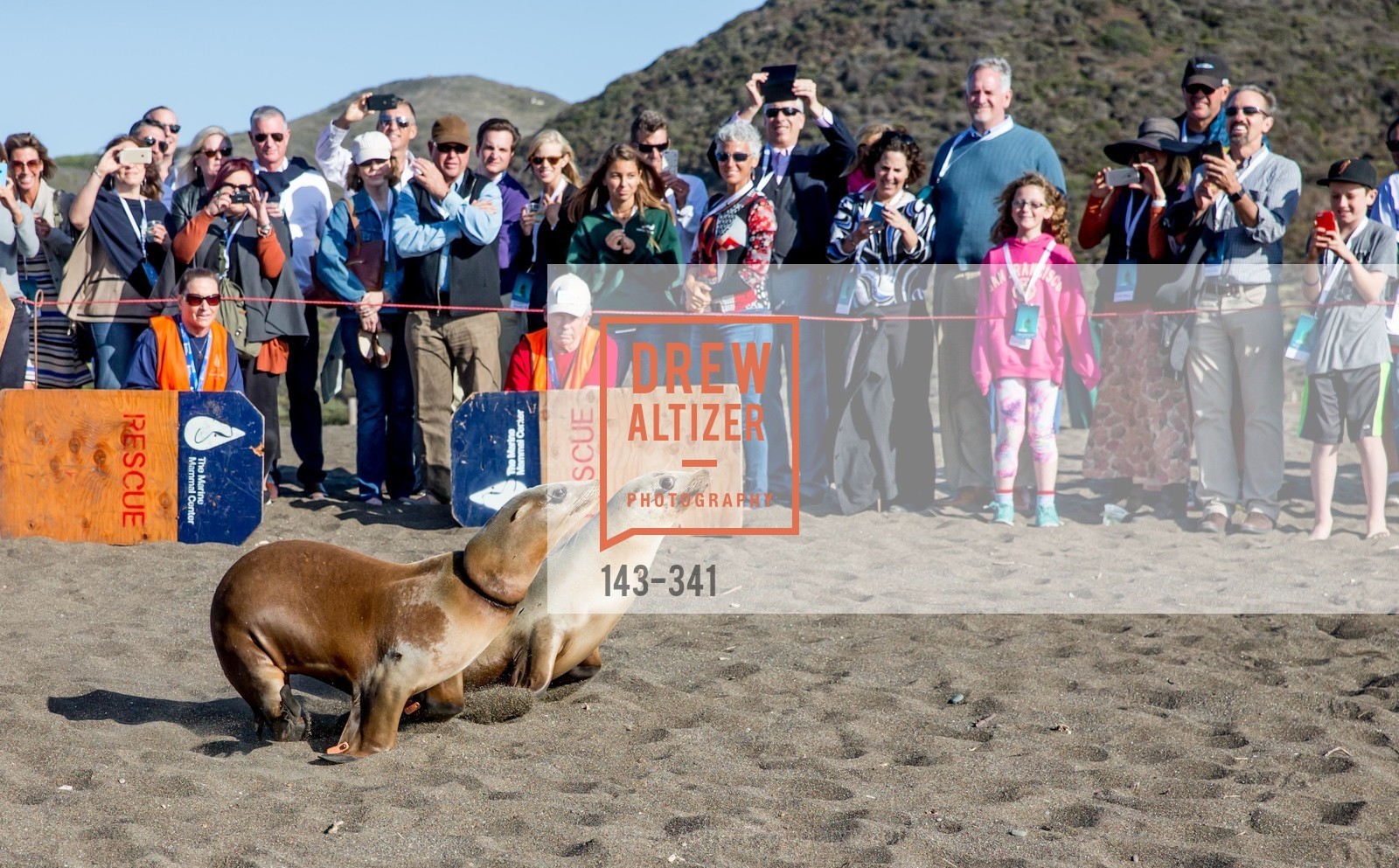 Atmosphere, The Marine Mammal Center 40th Anniversary, Fort Cronkhite. Fort Cronkhite, . 200 Bunker Road, October 4th, 2015, Photo #143-341 Atmosphere, Photo #143-341