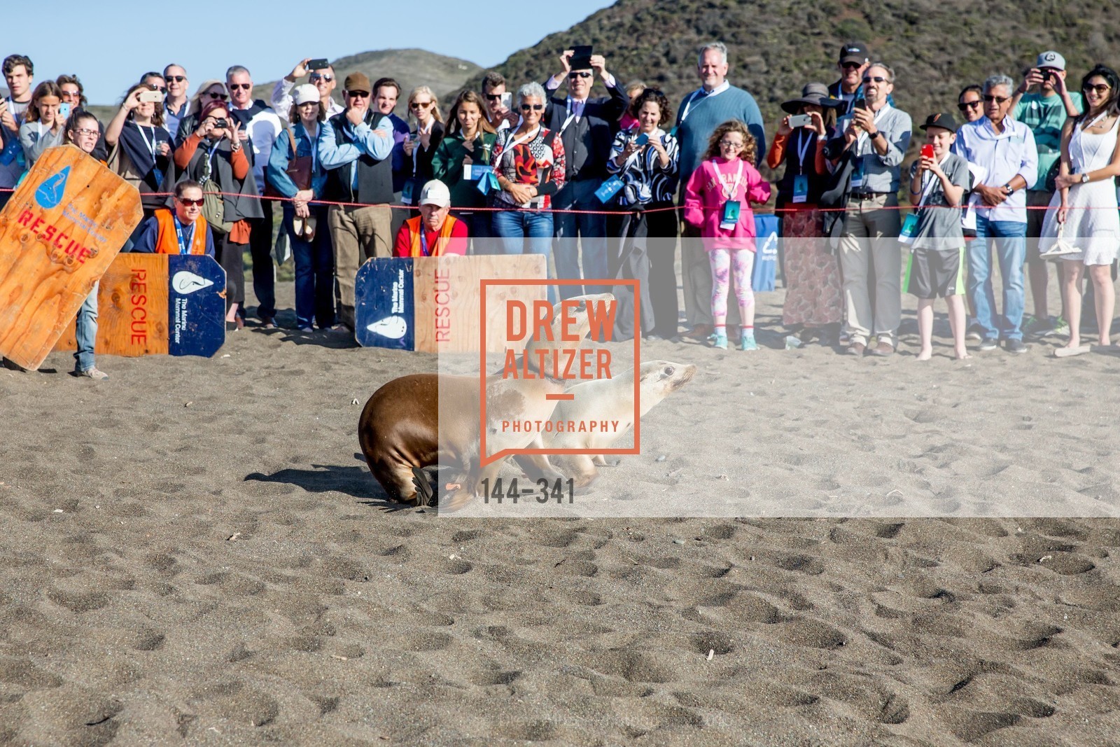 Atmosphere, The Marine Mammal Center 40th Anniversary, Fort Cronkhite. 200 Bunker Road, October 4th, 2015,Drew Altizer, Drew Altizer Photography, full-service agency, private events, San Francisco photographer, photographer california