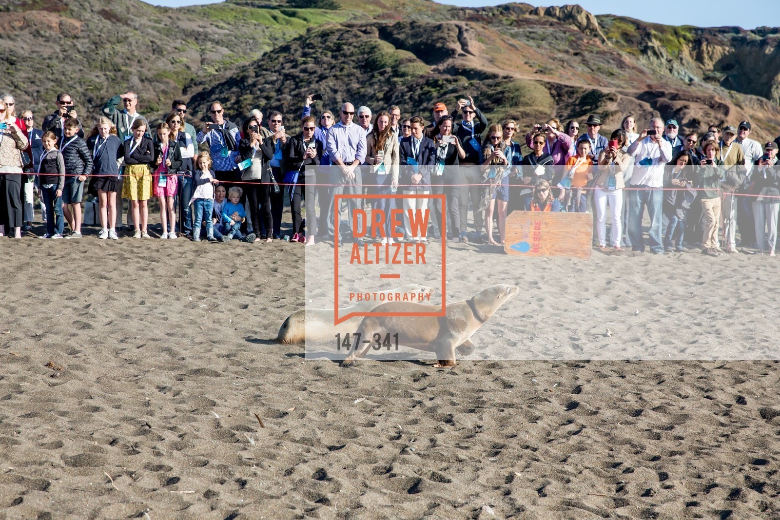 Atmosphere, The Marine Mammal Center 40th Anniversary, Fort Cronkhite. 200 Bunker Road, October 4th, 2015