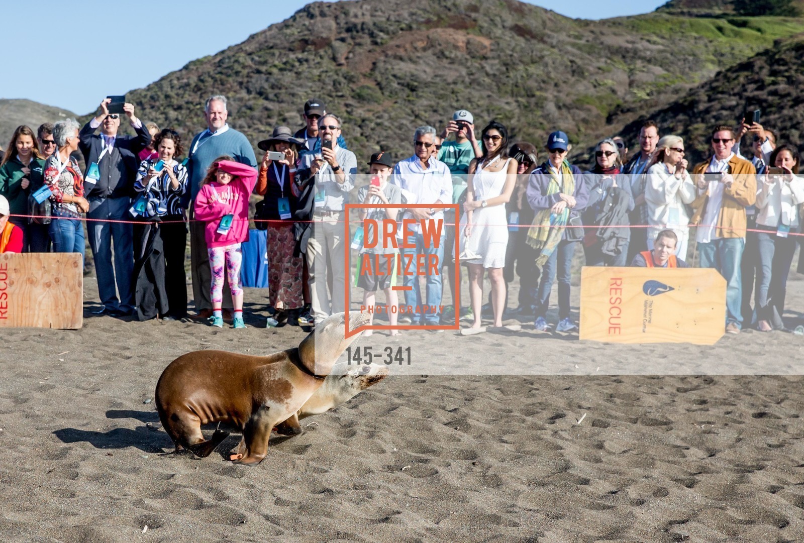 Atmosphere, The Marine Mammal Center 40th Anniversary, Fort Cronkhite. 200 Bunker Road, October 4th, 2015,Drew Altizer, Drew Altizer Photography, full-service event agency, private events, San Francisco photographer, photographer California