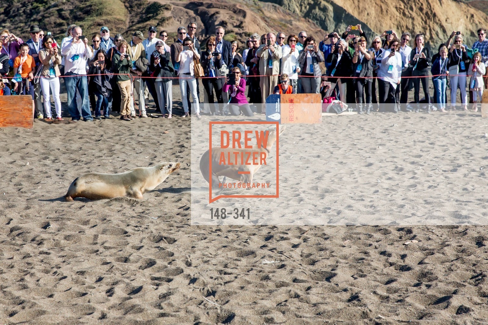 Atmosphere, The Marine Mammal Center 40th Anniversary, Fort Cronkhite. Fort Cronkhite, . 200 Bunker Road, October 4th, 2015, Photo #148-341 Atmosphere, Photo #148-341