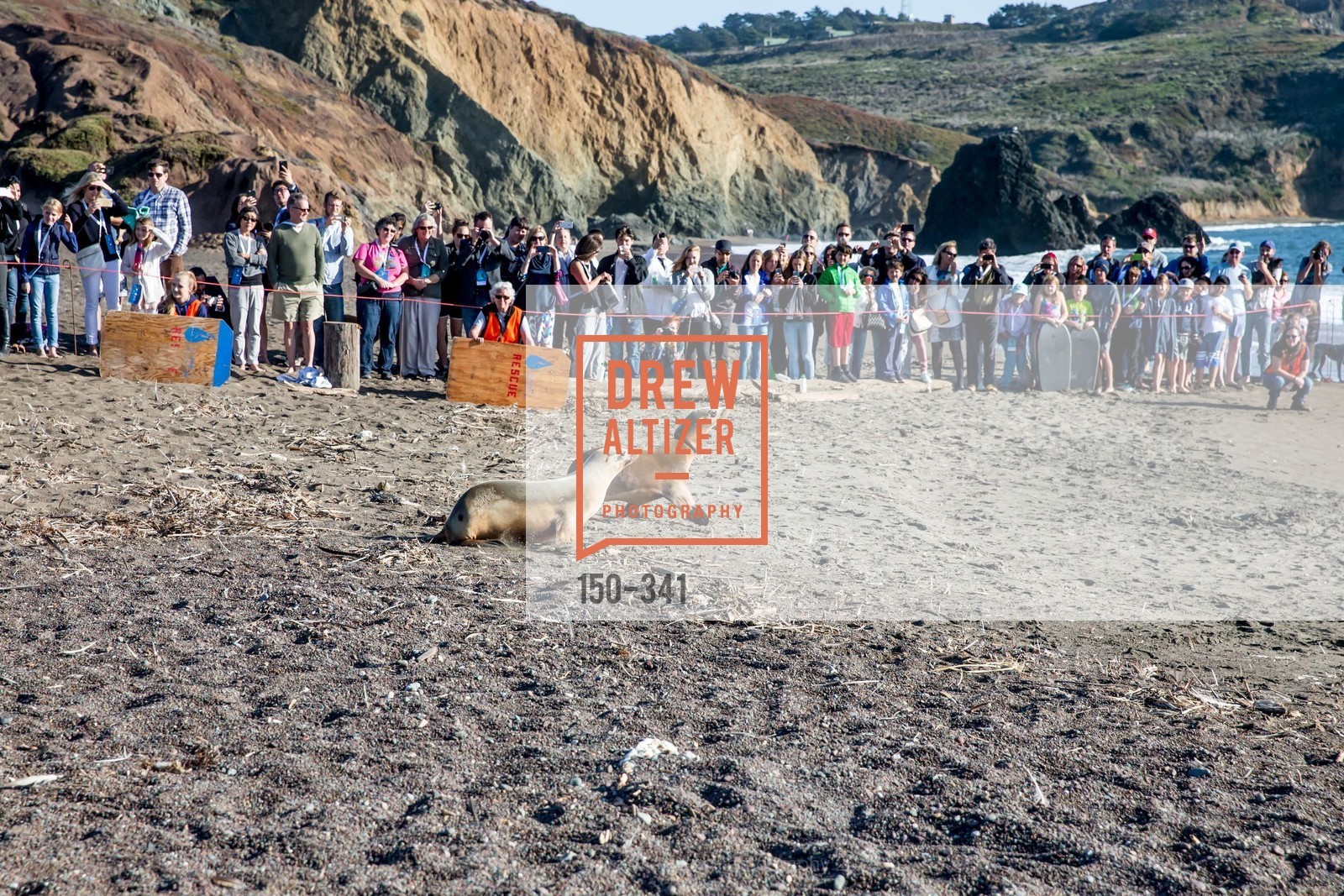 Atmosphere, The Marine Mammal Center 40th Anniversary, Fort Cronkhite. Fort Cronkhite, . 200 Bunker Road, October 4th, 2015, Photo #150-341 Atmosphere, Photo #150-341