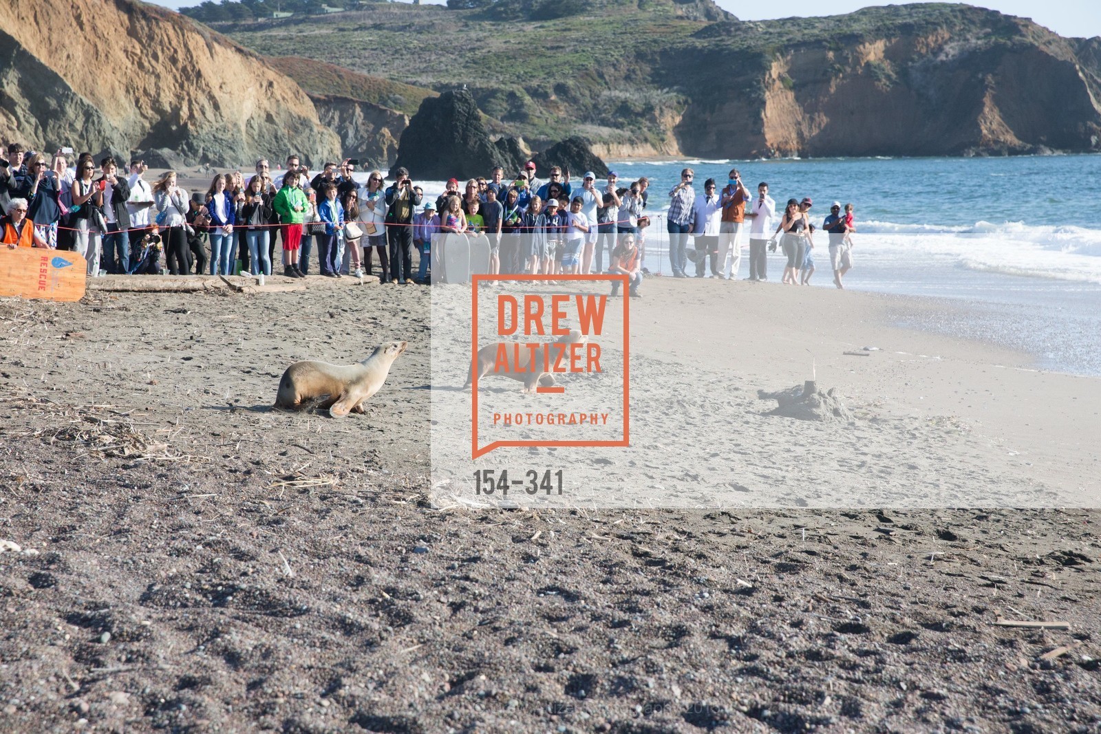 Atmosphere, The Marine Mammal Center 40th Anniversary, Fort Cronkhite. Fort Cronkhite, . 200 Bunker Road, October 4th, 2015, Photo #154-341 Atmosphere, Photo #154-341