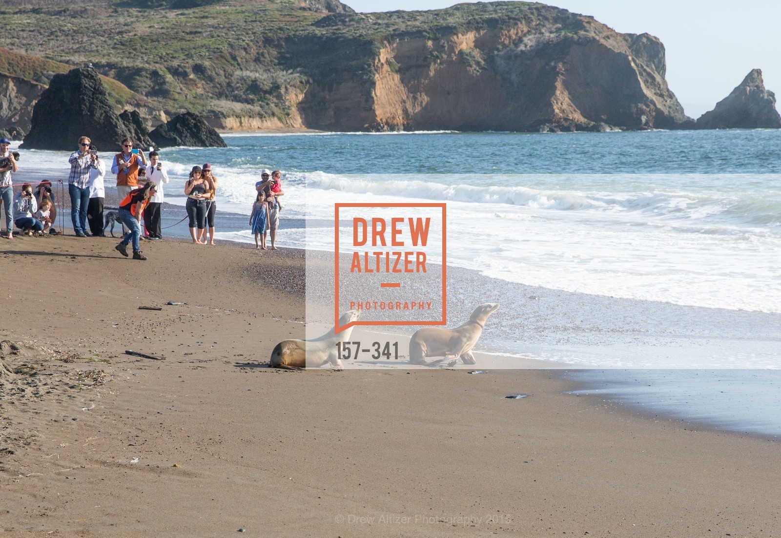 Atmosphere, The Marine Mammal Center 40th Anniversary, Fort Cronkhite. 200 Bunker Road, October 4th, 2015,Drew Altizer, Drew Altizer Photography, full-service event agency, private events, San Francisco photographer, photographer California