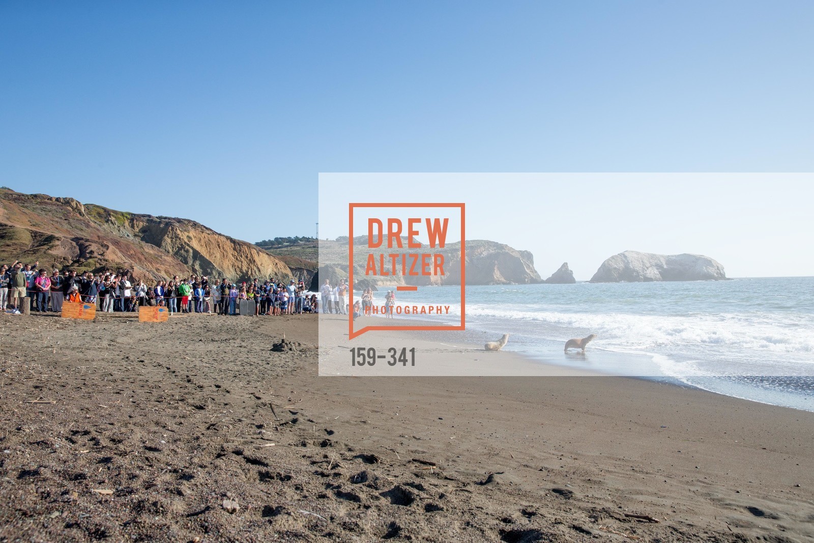 Atmosphere, The Marine Mammal Center 40th Anniversary, Fort Cronkhite. 200 Bunker Road, October 4th, 2015,Drew Altizer, Drew Altizer Photography, full-service agency, private events, San Francisco photographer, photographer california