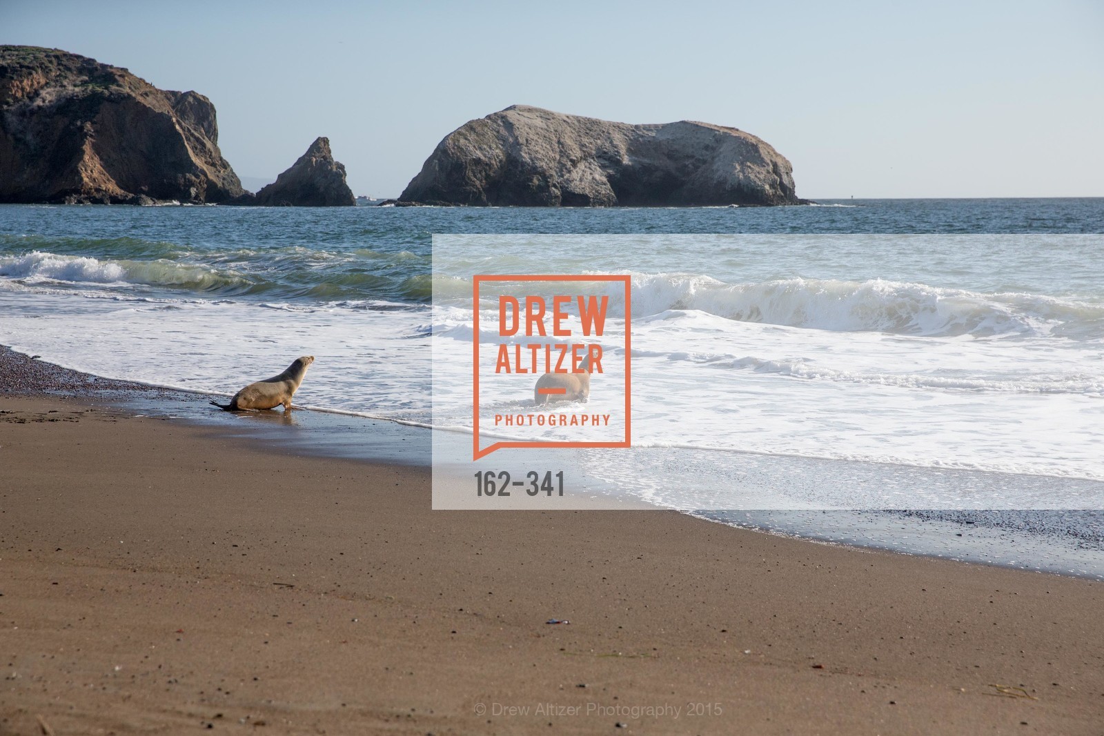 Atmosphere, The Marine Mammal Center 40th Anniversary, Fort Cronkhite. Fort Cronkhite, . 200 Bunker Road, October 4th, 2015, Photo #162-341 Atmosphere, Photo #162-341