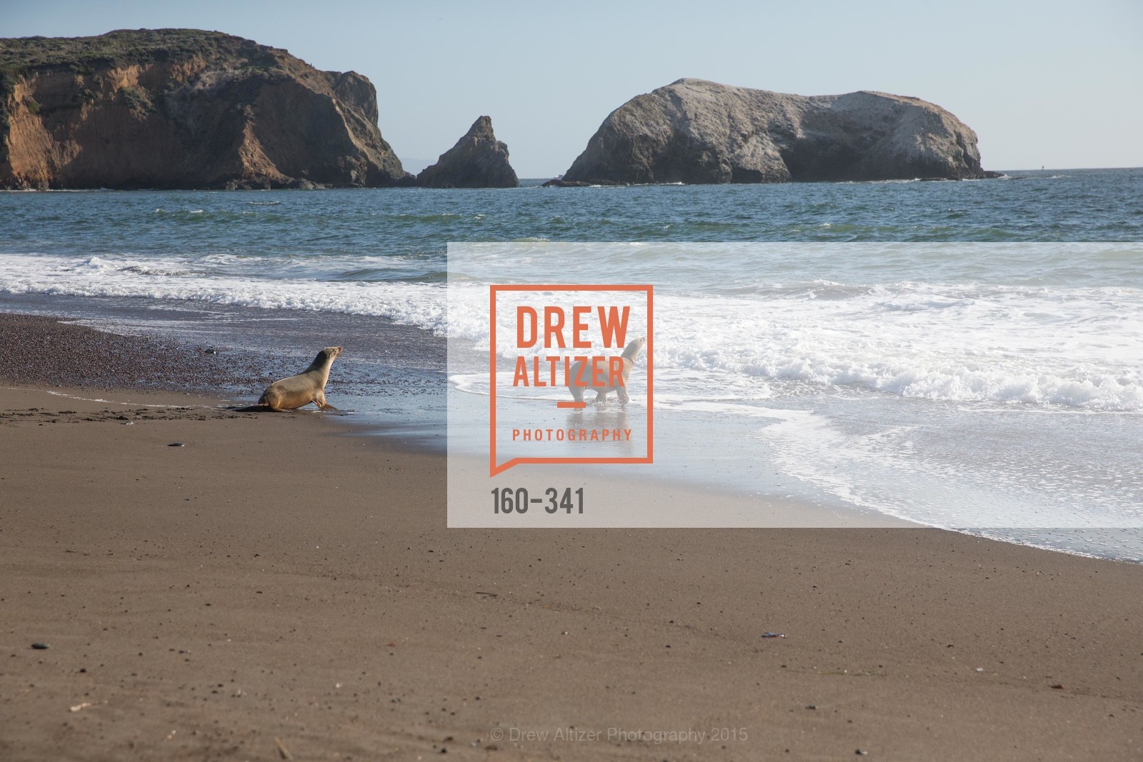 Atmosphere, The Marine Mammal Center 40th Anniversary, Fort Cronkhite. 200 Bunker Road, October 4th, 2015,Drew Altizer, Drew Altizer Photography, full-service agency, private events, San Francisco photographer, photographer california