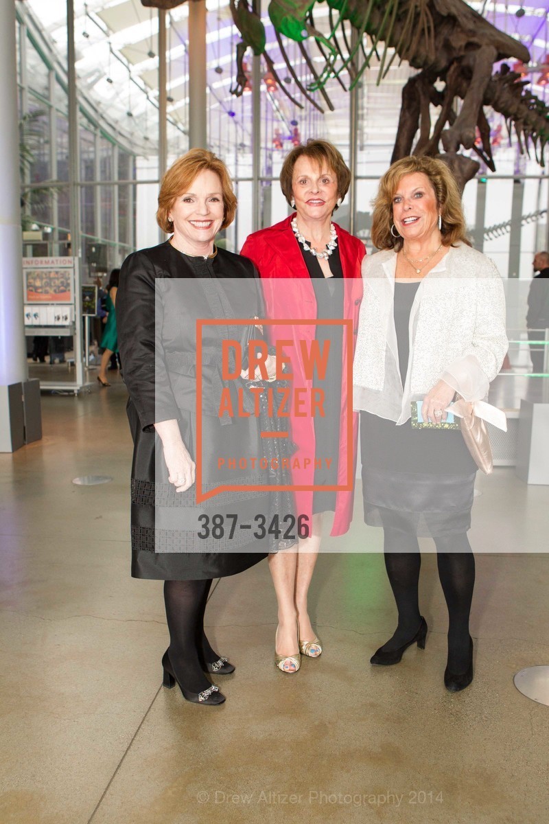 Susan Van Wagner, Mary Zlot, Leni Herst, California Academy of Sciences – Big Bang Gala, US, April 24th, 2014, Photo #387-3426 Susan Van Wagner, Mary Zlot, Leni Herst, Photo #387-3426