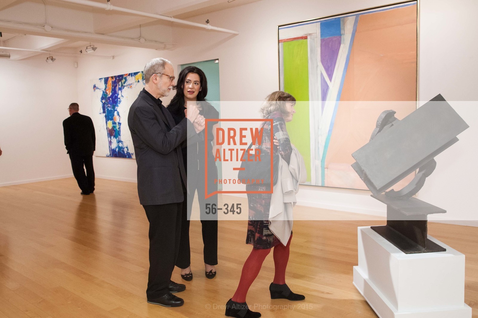 Sandy Williams, Becky Ascher, John Berggruen Gallery presents