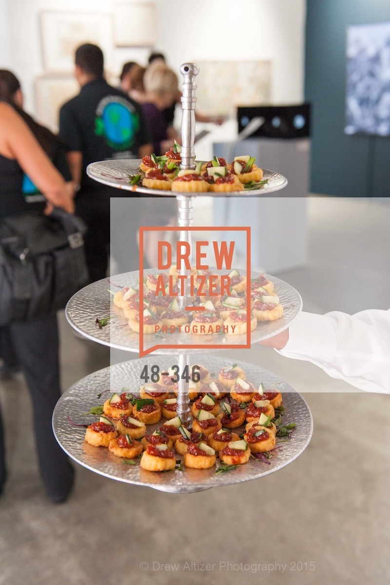 Atmosphere, Art Miami Presents: Art Silicon Valley, San Mateo County Event Center. 1346 Saratoga Dr, October 8th, 2015,Drew Altizer, Drew Altizer Photography, full-service agency, private events, San Francisco photographer, photographer california
