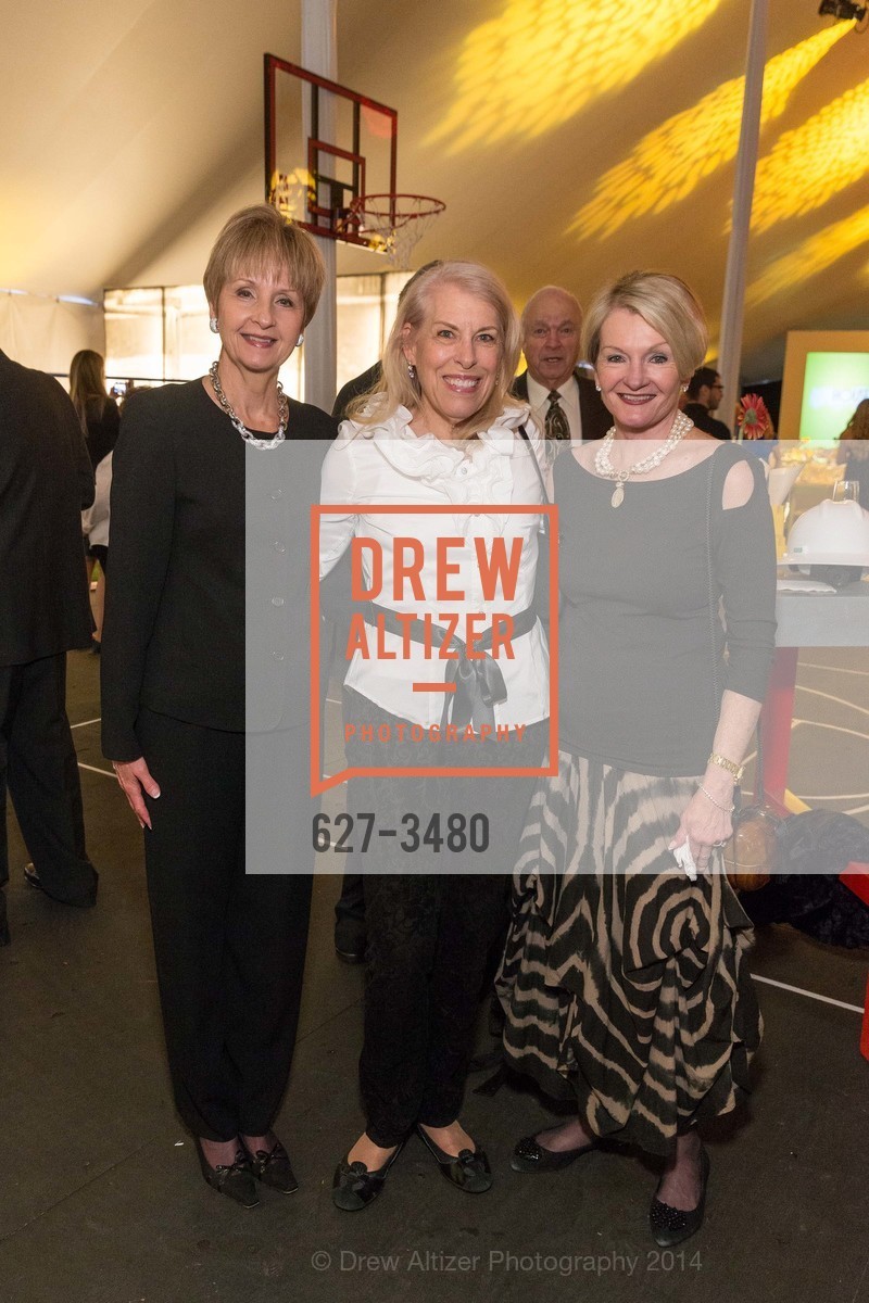 Debbie Brookfield, Suzette Austin, Susan Brandenburg, RONALD McDONALD House Party! Groundbreaking Gala, US, March 22nd, 2014, Photo #627-3480 Debbie Brookfield, Suzette Austin, Susan Brandenburg, Photo #627-3480