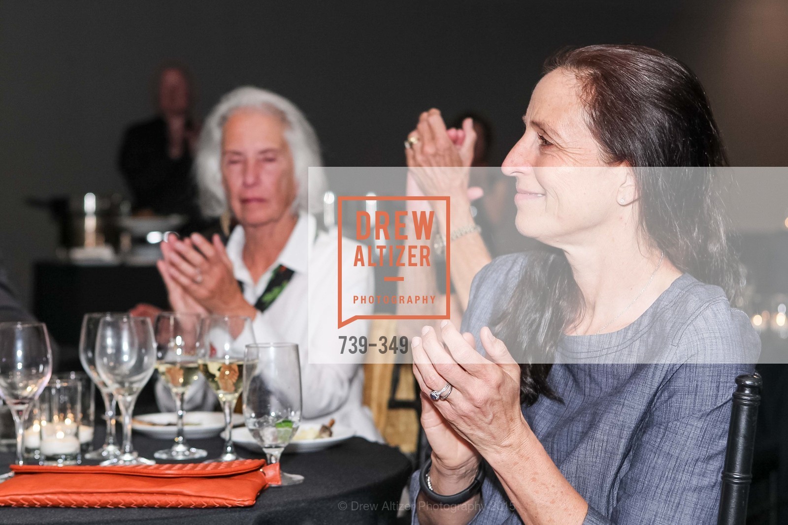 Extras, Cocktails on the Pier- A BASIC Fund Thank You, October 8th, 2015, Photo