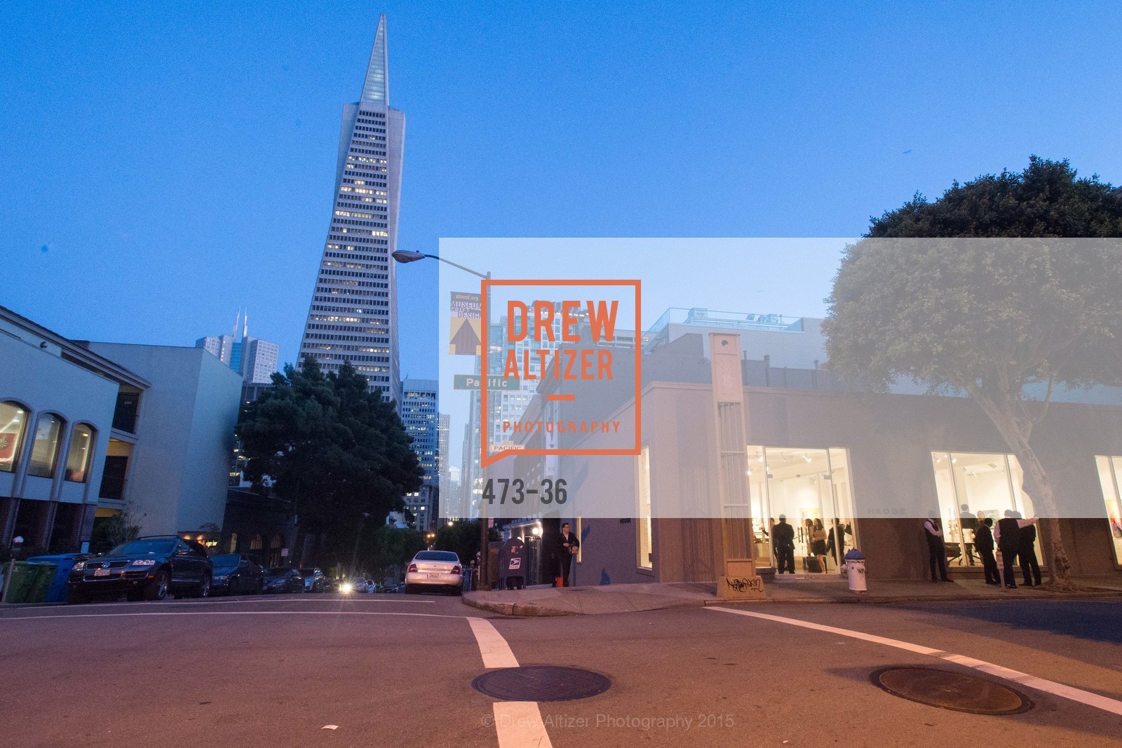 Extras, Post War and Contemporary preview at Hedge Gallery , April 16th, 2015, Photo,Drew Altizer, Drew Altizer Photography, full-service agency, private events, San Francisco photographer, photographer california