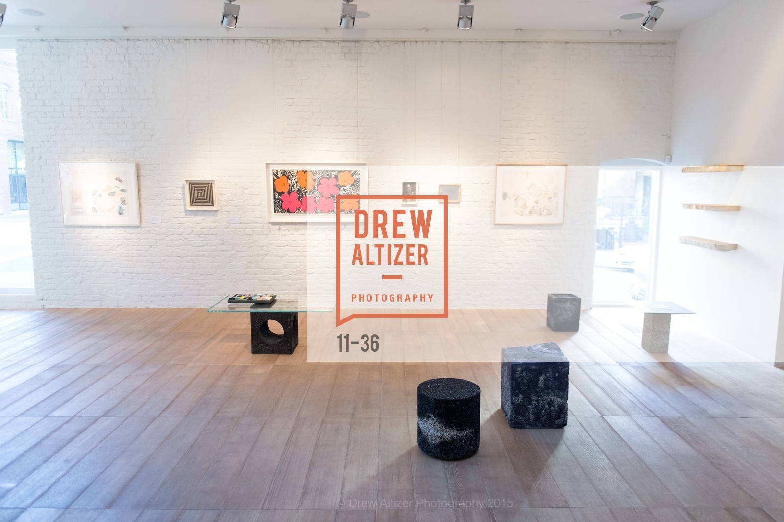 Extras, Post War and Contemporary preview at Hedge Gallery , April 16th, 2015, Photo,Drew Altizer, Drew Altizer Photography, full-service agency, private events, San Francisco photographer, photographer california