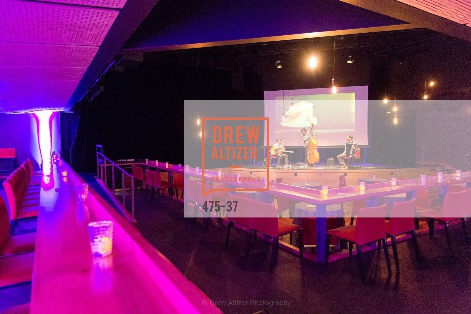 Extras, EXPLORATORIUM SPRING GALA: Catalyze Your Curiosity, April 16th, 2015, Photo,Drew Altizer, Drew Altizer Photography, full-service agency, private events, San Francisco photographer, photographer california