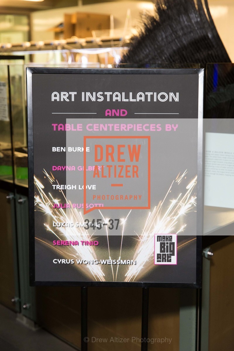 Extras, EXPLORATORIUM SPRING GALA: Catalyze Your Curiosity, April 16th, 2015, Photo,Drew Altizer, Drew Altizer Photography, full-service agency, private events, San Francisco photographer, photographer california