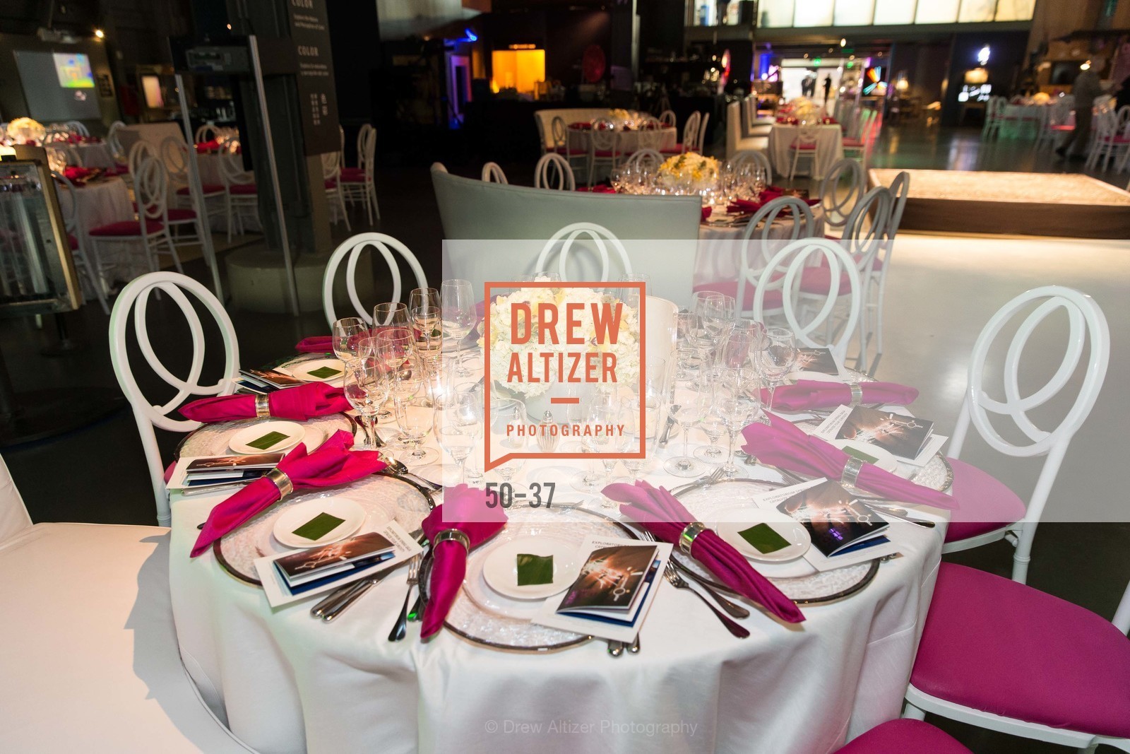 Extras, EXPLORATORIUM SPRING GALA: Catalyze Your Curiosity, April 16th, 2015, Photo,Drew Altizer, Drew Altizer Photography, full-service agency, private events, San Francisco photographer, photographer california