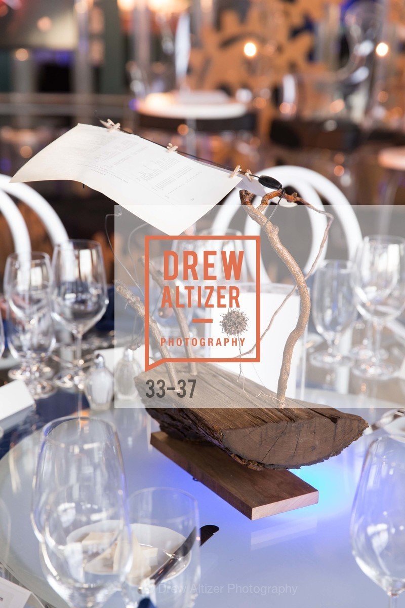 Extras, EXPLORATORIUM SPRING GALA: Catalyze Your Curiosity, April 16th, 2015, Photo,Drew Altizer, Drew Altizer Photography, full-service agency, private events, San Francisco photographer, photographer california