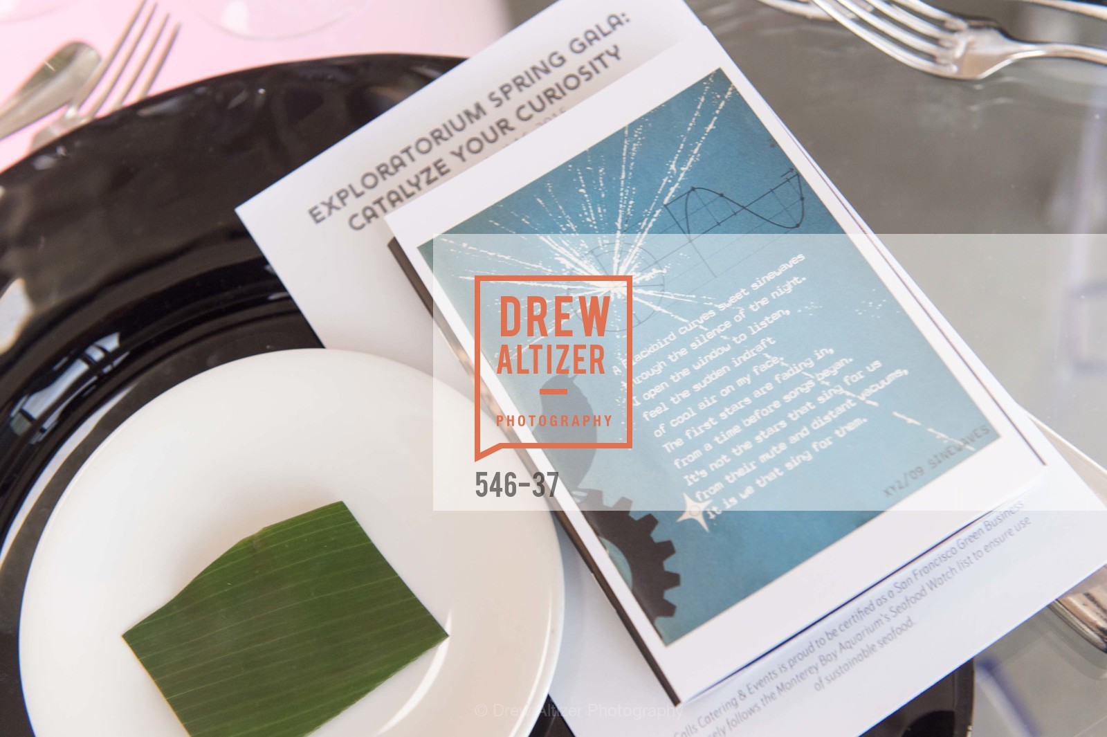 Extras, EXPLORATORIUM SPRING GALA: Catalyze Your Curiosity, April 16th, 2015, Photo