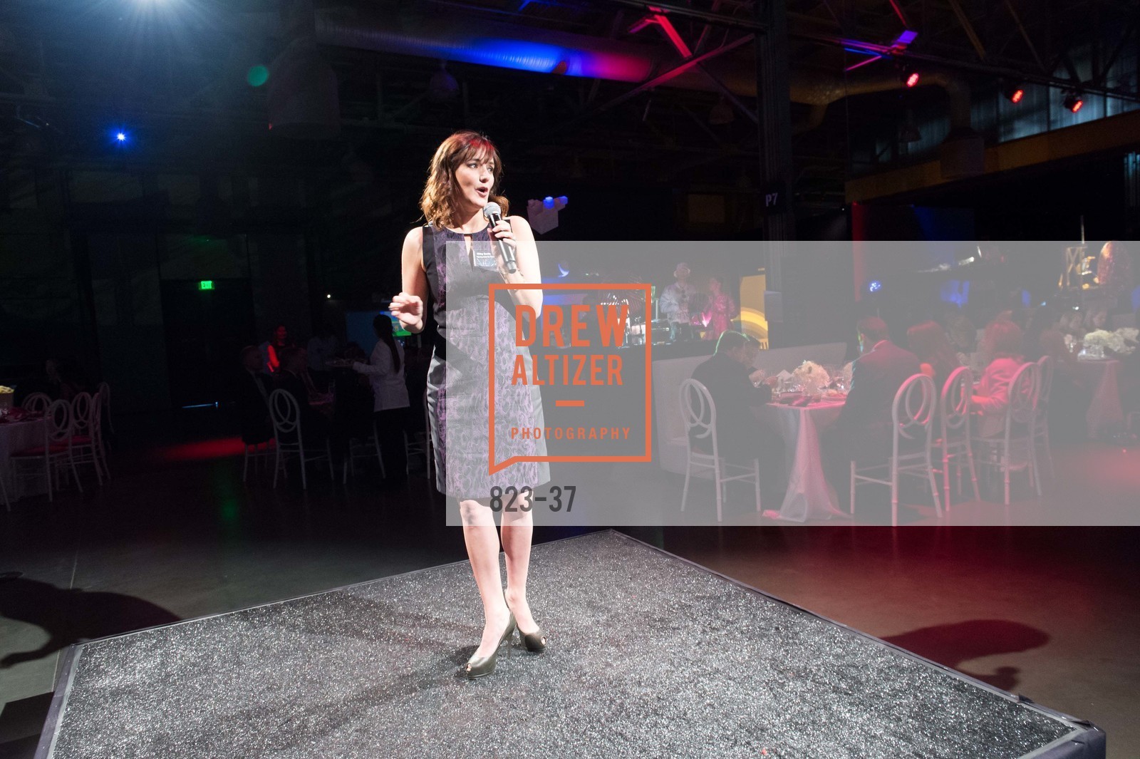 Extras, EXPLORATORIUM SPRING GALA: Catalyze Your Curiosity, April 16th, 2015, Photo,Drew Altizer, Drew Altizer Photography, full-service agency, private events, San Francisco photographer, photographer california