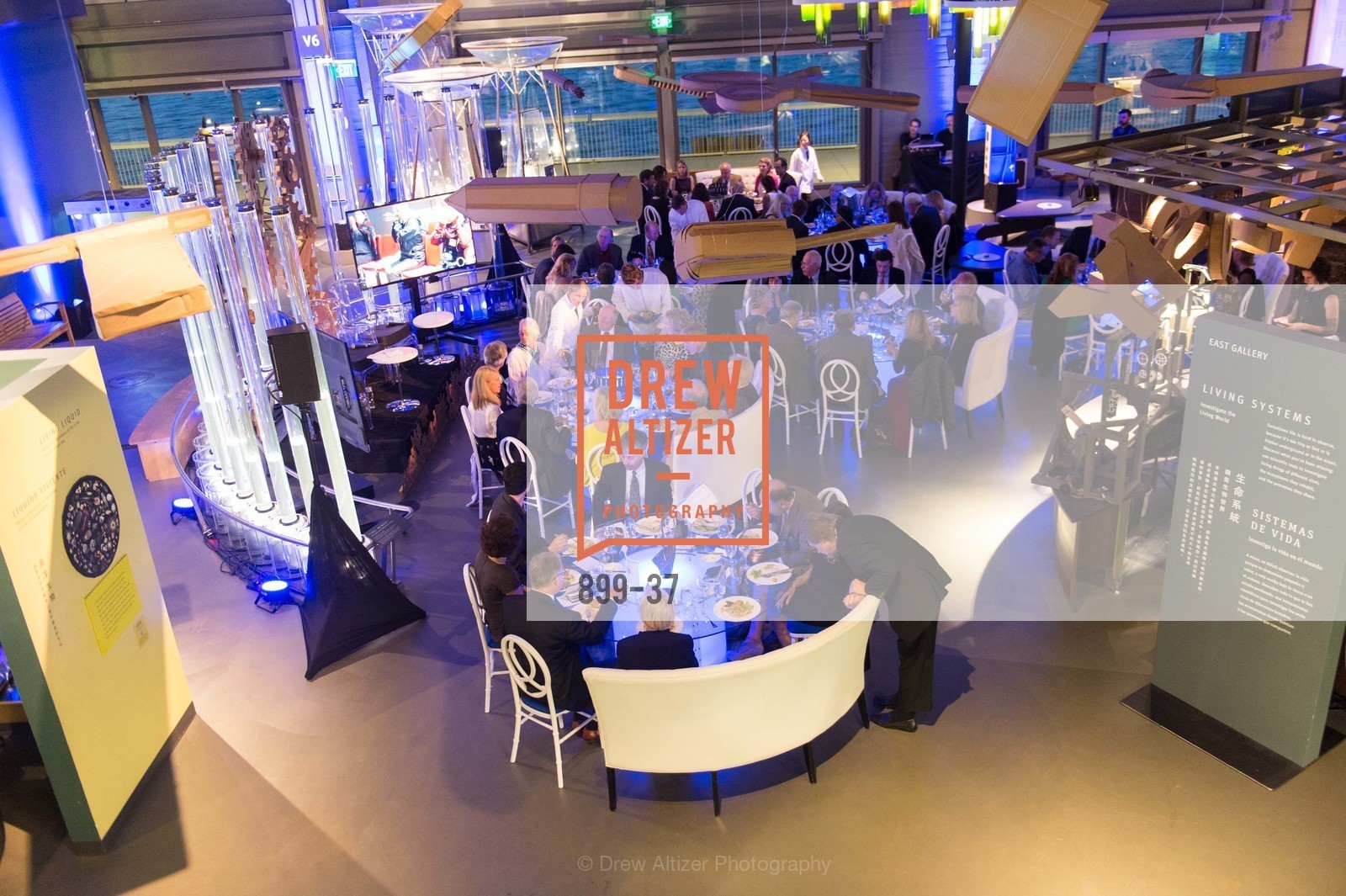 Extras, EXPLORATORIUM SPRING GALA: Catalyze Your Curiosity, April 16th, 2015, Photo,Drew Altizer, Drew Altizer Photography, full-service agency, private events, San Francisco photographer, photographer california