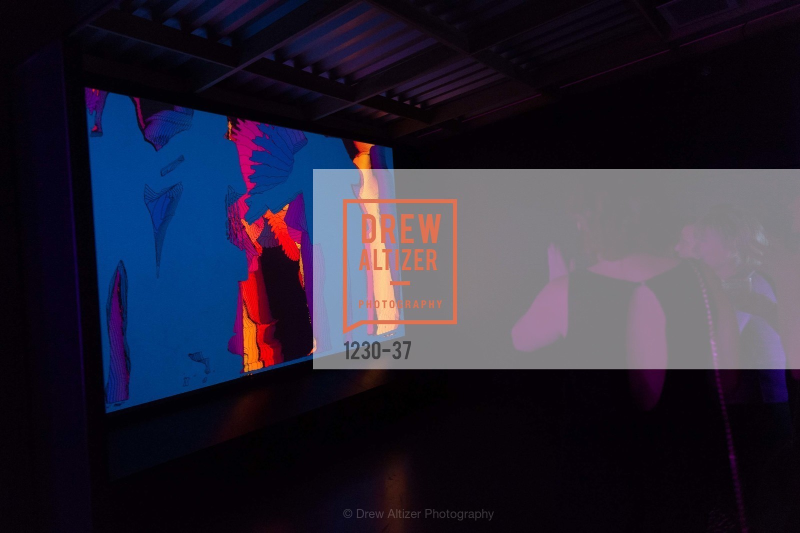 Extras, EXPLORATORIUM SPRING GALA: Catalyze Your Curiosity, April 16th, 2015, Photo,Drew Altizer, Drew Altizer Photography, full-service agency, private events, San Francisco photographer, photographer california