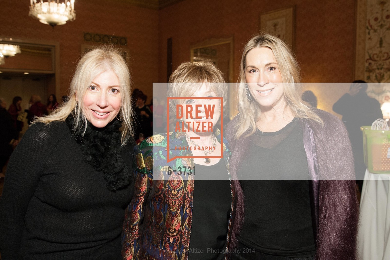 Lisa Terranova, Carla Della Zoppa, Renee Zacchi, 52nd BOYS' AND GIRLS' TOWNS OF ITALY Fashion Show Luncheon Featuring KAREN CALDWELL, US, December 11th, 2014, Photo #6-3731 Lisa Terranova, Carla Della Zoppa, Renee Zacchi, Photo #6-3731