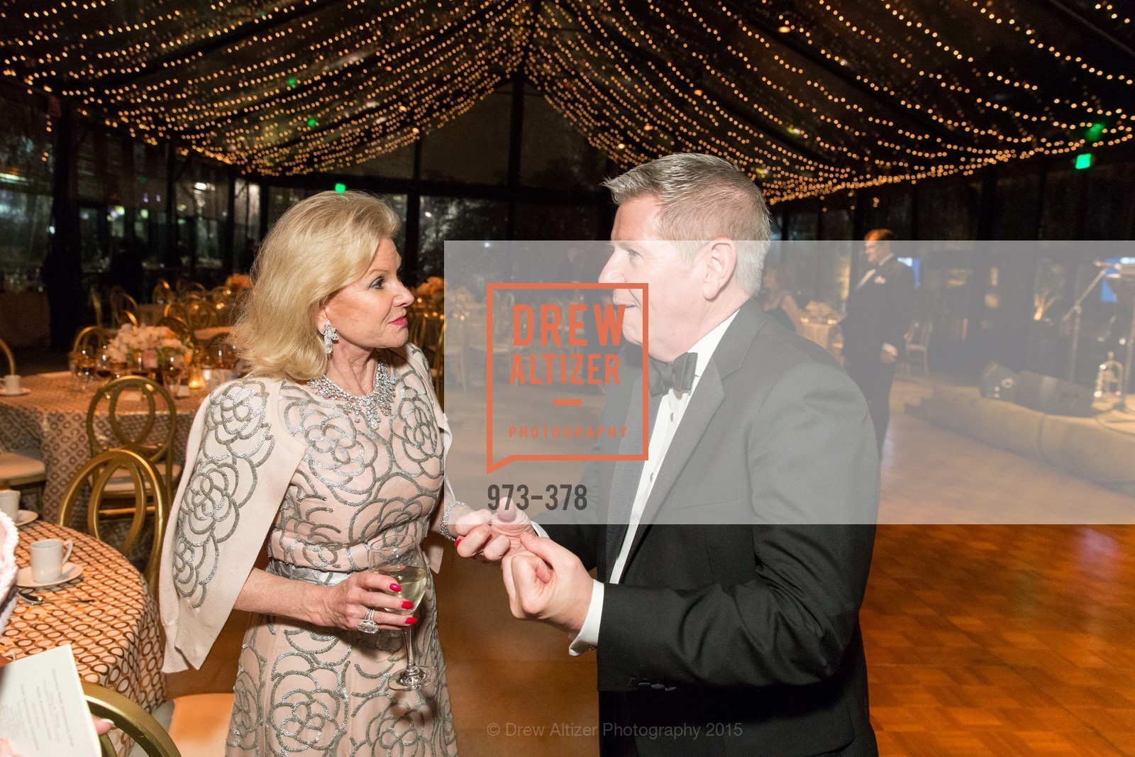 Dede Wilsey, Richard Benefield, Tenth Anniversary Celebration of the New de Young Museum, de Young Museum. 50 Hagiwara Tea Garden Dr, October 14th, 2015,Drew Altizer, Drew Altizer Photography, full-service agency, private events, San Francisco photographer, photographer california