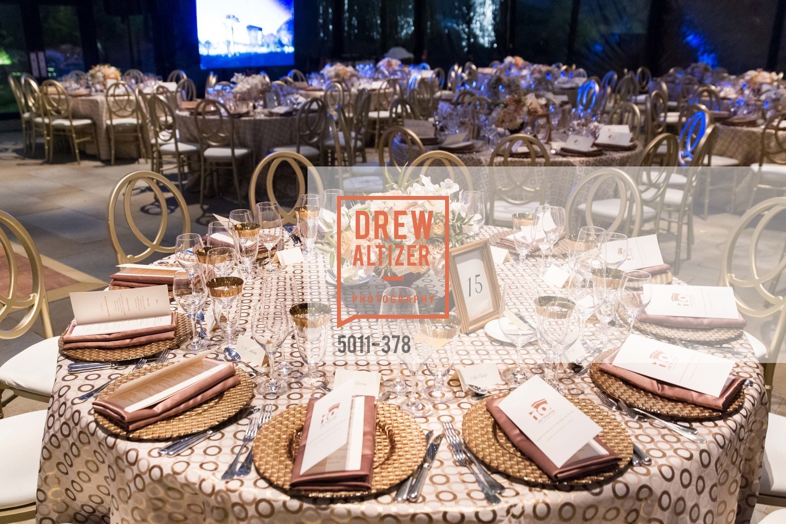 Atmosphere, Tenth Anniversary Celebration of the New de Young Museum, de Young Museum. 50 Hagiwara Tea Garden Dr, October 14th, 2015,Drew Altizer, Drew Altizer Photography, full-service agency, private events, San Francisco photographer, photographer california