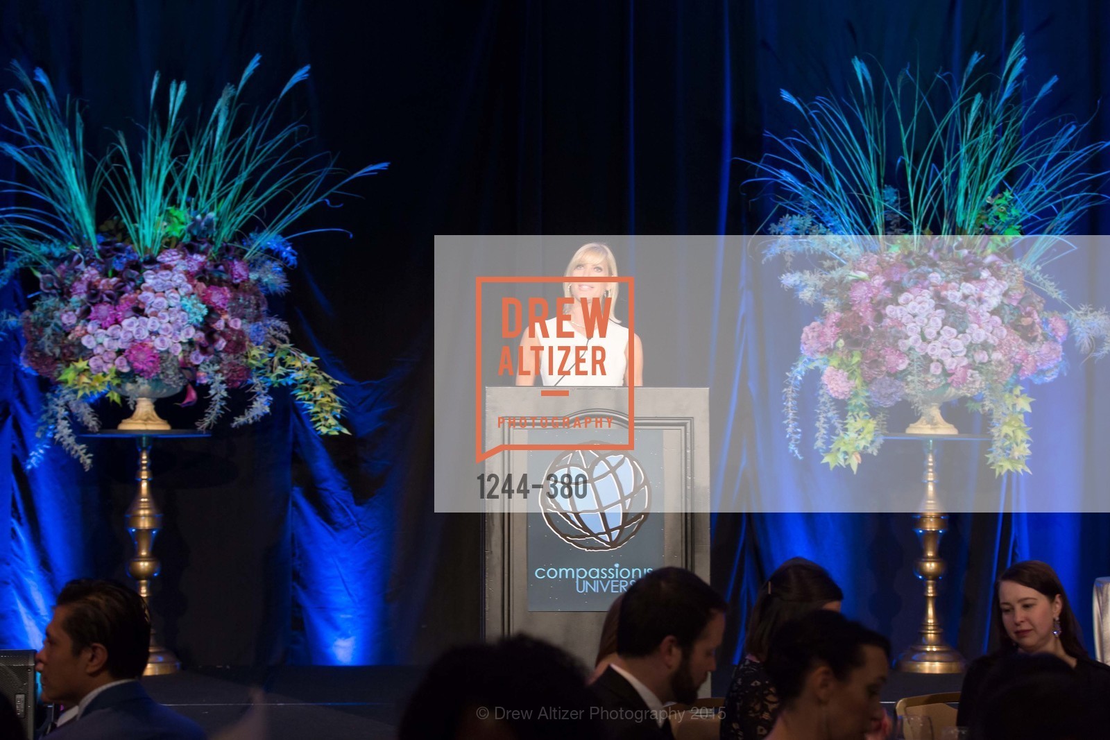 Janet Reilly, Shanti Project 41st Annual Compassion is Universal Dinner, Palace Hotel. 2 New Montgomery St, October 14th, 2015,Drew Altizer, Drew Altizer Photography, full-service agency, private events, San Francisco photographer, photographer california