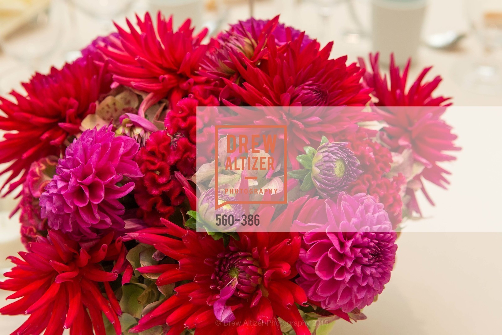Atmosphere, Full Circle Fund Presents: R15E, San Francisco City Hall. 1 Dr Carlton B Goodlett Pl, October 15th, 2015,Drew Altizer, Drew Altizer Photography, full-service agency, private events, San Francisco photographer, photographer california