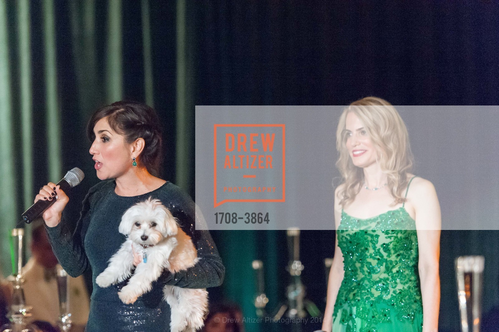 Zem Joaquin, Nadine Weil, Global Green's 10th Annual GORGEOUS & GREEN Gala 2014: "Emerald City", Bently Reserve. 301 Battery Street, October 10th, 2014, Photo #1708-3864 Zem Joaquin, Nadine Weil, Photo #1708-3864