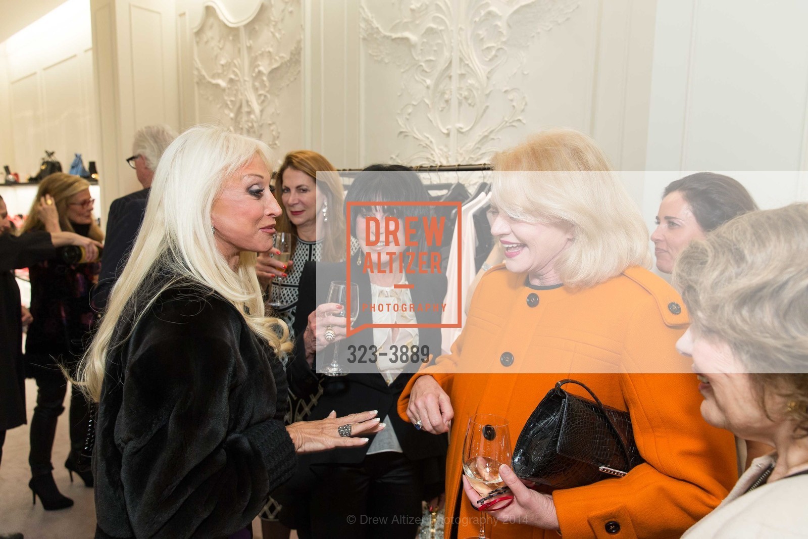 Daru Kawalkowski, Marilyn Cabak, Heidi Betz, ALEXANDER McQUEEN old, US, February 27th, 2014, Photo #323-3889 Daru Kawalkowski, Marilyn Cabak, Heidi Betz, Photo #323-3889