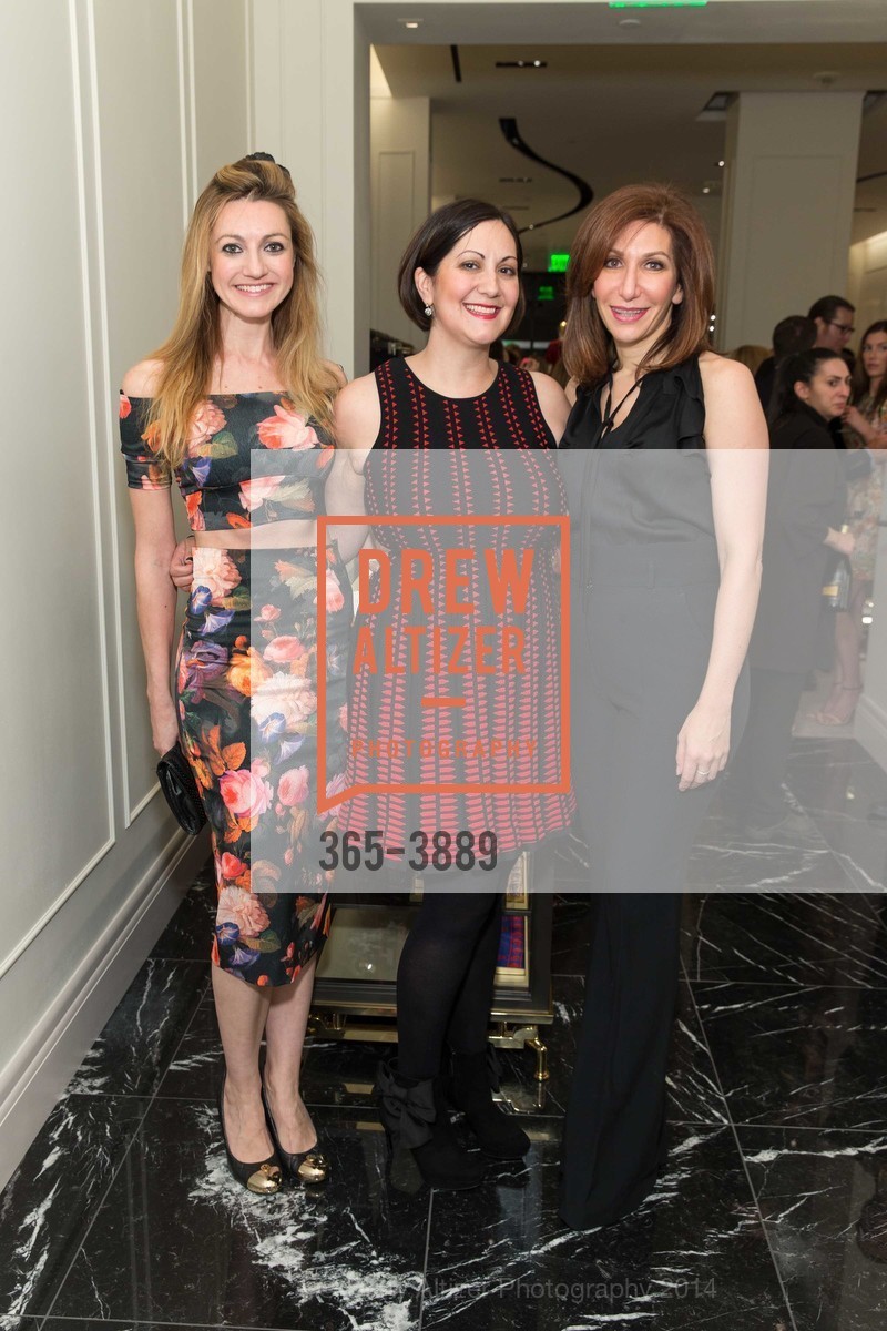 Marie Carr, Amanda Allan, Melissa Boxer Zill, ALEXANDER McQUEEN old, US, February 27th, 2014, Photo #365-3889 Marie Carr, Amanda Allan, Melissa Boxer Zill, Photo #365-3889
